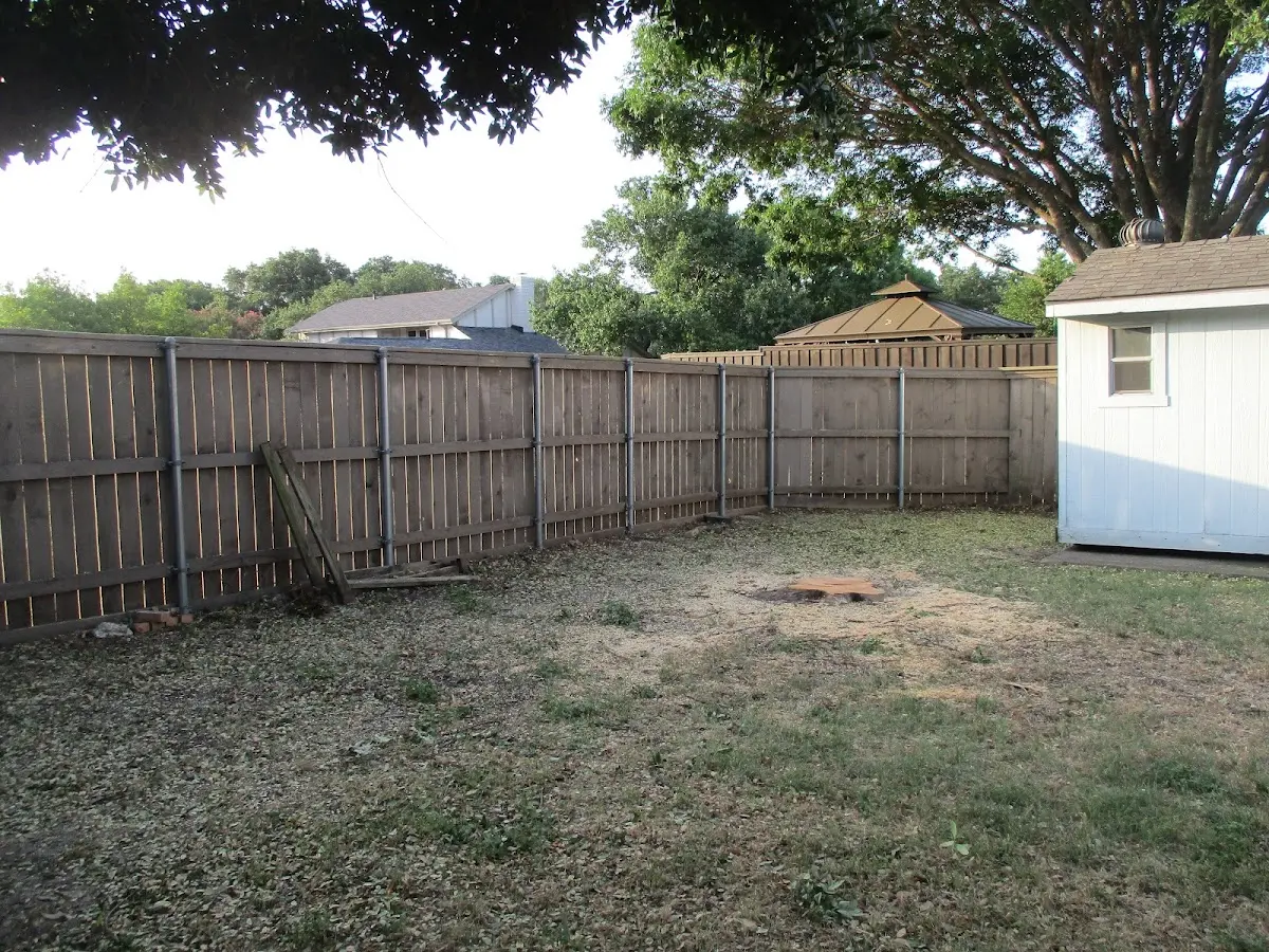 Cleared yard after professional tree removal in Smyrna Mills